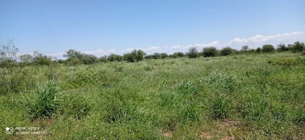 VENTA EXCELENTE CAMPO GANADERO MIXTO CON RIEGO EN CRUZ DEL EJE (CBA)