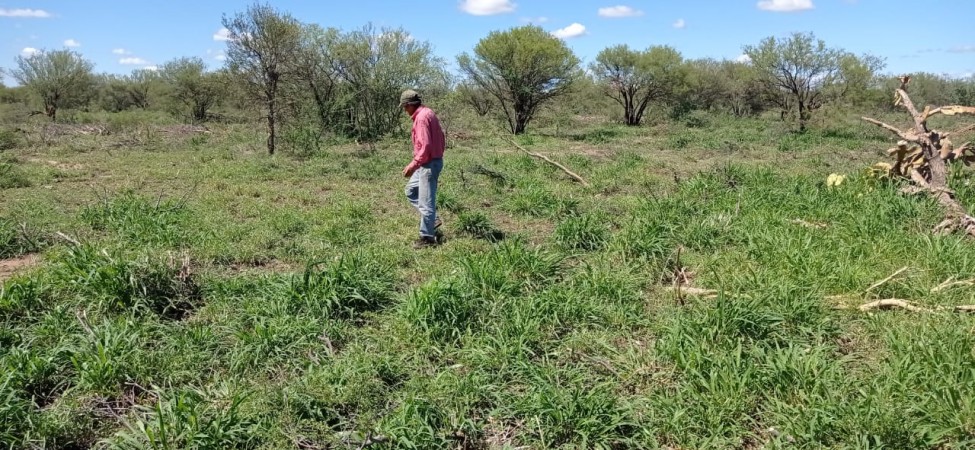 VENTA EXCELENTE CAMPO GANADERO MIXTO CON RIEGO EN CRUZ DEL EJE (CBA)