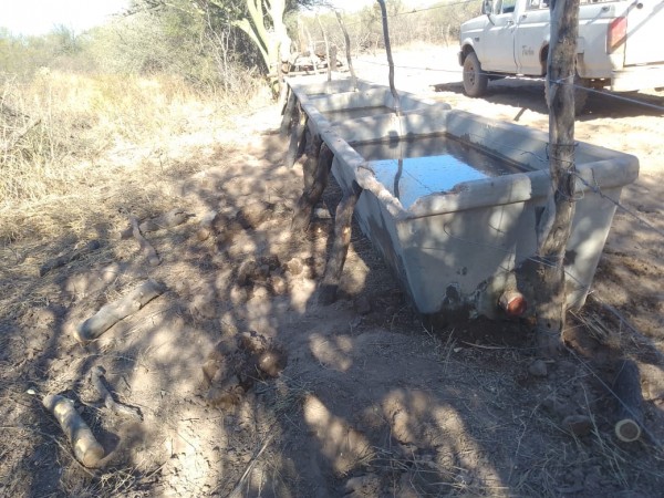 VENTA EXCELENTE CAMPO GANADERO MIXTO CON RIEGO EN CRUZ DEL EJE (CBA)